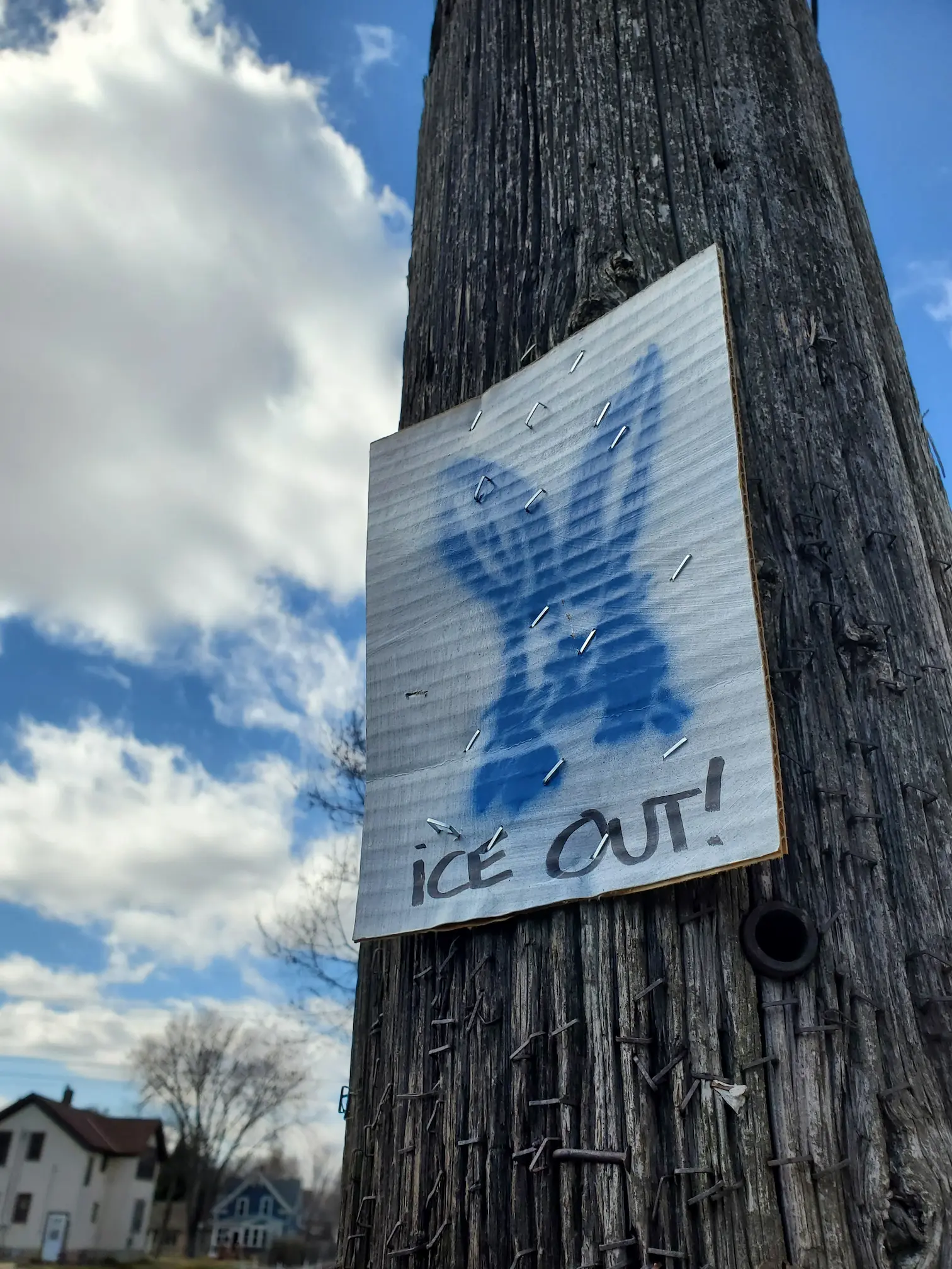 A cardboard sign stapled to a telephone pole depicting a rabbit with the words “ICE OUT”.